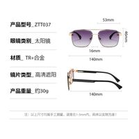 Plastic + metal retro sunglasses Elit ZTT037-EL