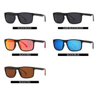 Plastic polygonal sunglasses Elit 2218-EL