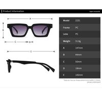 Plastic sunglasses Elit 2231-EL