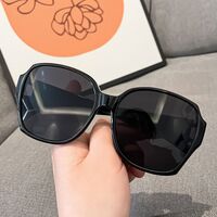 Polarized sunglasses TR90, with case TR902-2