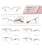 Metal nylor frame LE6438-DA