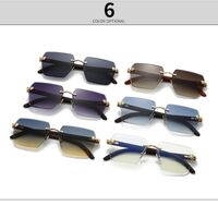 Metal rimless sunglasses Elit 3064-EL