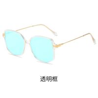 Blue Block plastic glasses with blue light protection for colorblind people, with case KY30016-4色盲