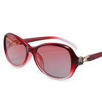 Polarized plastic sunglasses with UV400 protection 2214-GT