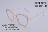 Metal +TR90 ultrathin frames with flex hinges Wilibolo TR3021
