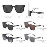 Polarized plastic sunglasses with spring hinhes Enrique Cavaldi EC9813