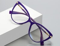 Frame for glasses TR90+CA material (flex hinges) FOCUS FCS2098