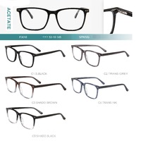 Acetate plastic frames for glasses with spring hinges Big City F3018