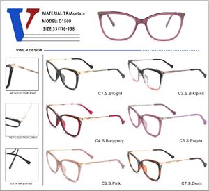 Plastic acetate TR90 + metall frame with spring hinges D1509-DA