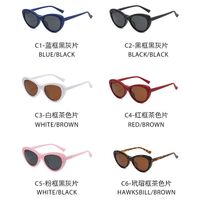 Оправа пластиковая с флексом + поляризационная солнцезащитная насадка (клипон) на магните El Dorado EL2350D