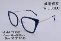 Metal +TR90 ultrathin frames with flex hinges Wilibolo TR3003