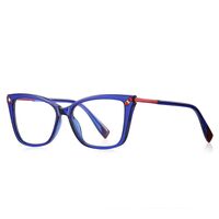Plastic TR90 frames for glasses with Blue Ray Cut protection and flex hinges FOCUS FCS2127