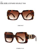 Sunglasses Elit stylish modern 86001