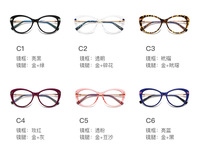 Оправа пластиковая, материал TR-90+CA (флекс!) FOCUS FCS2088