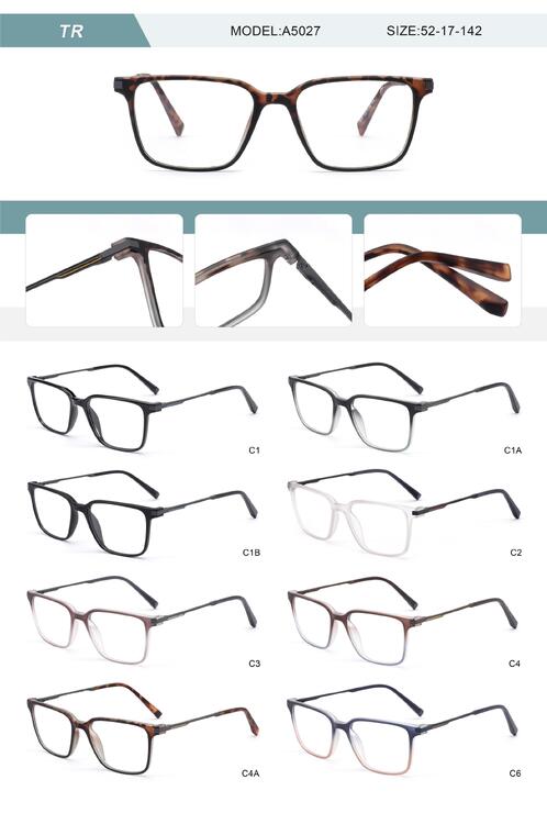 Plastic TR90 frame for men with spring hinges A5027-DA