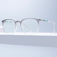 Combined TR90 + metal frame with anti-blue light protection lenses Elit TR1607-EL