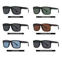 Plastic polarized men's square sunglasses Elit 2374-EL