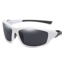 Polarized plastic sunglasses with UV400 protection D120-GT
