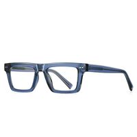 Plastic TR90 frames for glasses with Blue Ray Cut protection FOCUS FCS2196