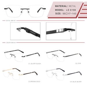 Оправа металлическая безободковая на винтах мужская с флексом LE6198-DA