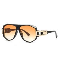 Plastic + metal retro sunglasses for men Elit LH091-1-EL
