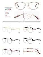 Оправа для очков металлическая с флексом Big City LF1605