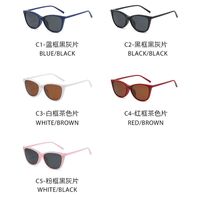 Оправа пластиковая + поляризационная солнцезащитная насадка (клипон) на магните El Dorado EL2340D