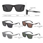 Polarized plastic sunglasses with spring hinhes Enrique Cavaldi EC9810