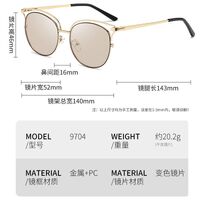 Photochromic glasses with blue light and UV protection 9704-GT