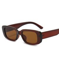 Polarized plastic sunglasses with UV400 protection 9071-GT