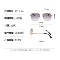 Metal retro sunglasses Elit ZT23H26-EL
