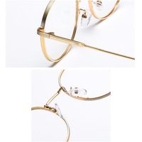 Protective glasses with anti-reflective coating Plinth 8913