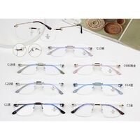 Metal frame with Blue Ray Cut protection lenses MAMO F99103
