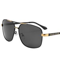 Очки металлические фотохромные с защитой от синего света 2873-GT