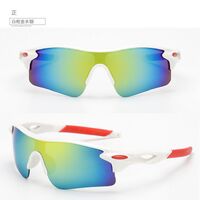 Очки защитные противоударные тактические ветрозащитные полуободковые T9181