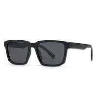 Plastic sunglasses Elit 2324-EL