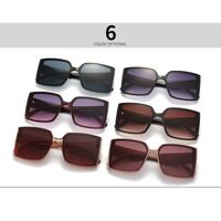 Plastic sunglasses for women Elit 9113-EL