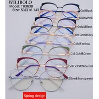 Оправа металл + TR90 ультратонкая женская с флексом Wilibolo TR3038