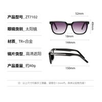 Plastic + metal square sunglasses for men Elit ZT7102-EL