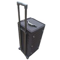 Mobile box (suitcase, trunk, organizer, display case) on wheels for frames and glasses for 100 slots JS-C190428
