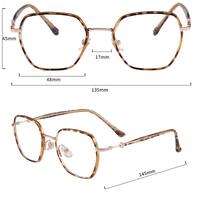 Titanium frames MAMO S11708