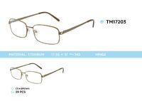 Titanium frames TM17203