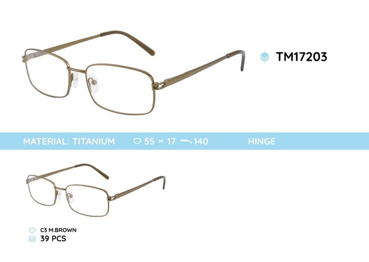 Titanium frames TM17203