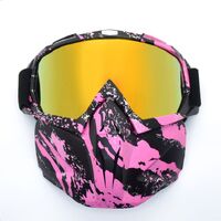 Safety shockproof sports goggles - mask 风镜-鹰嘴面罩转印