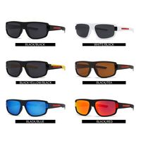 Plastic sunglasses for men Elit 2254-EL