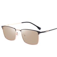 Photochromic glasses with blue light and UV protection 9666-GT