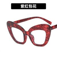 Plastic glasses with blue light protection for women 3001-7725-PN