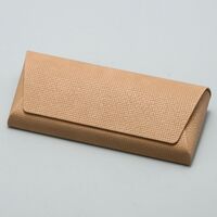 Sunglasses and eyeglasses hard shell case JQ0001-14