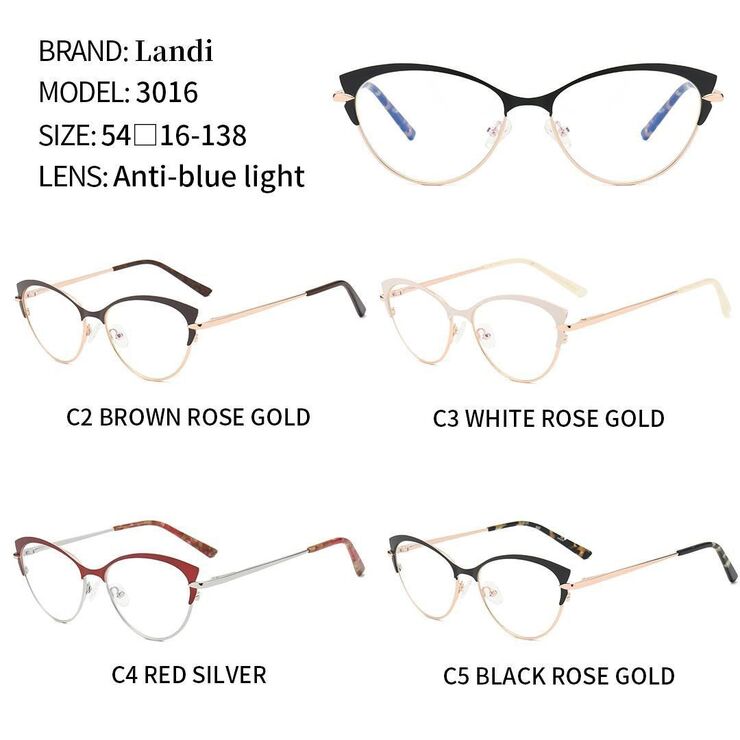 Очки защитные металлические с антибликовым покрытием Landi LD3016