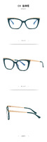 Plastic frames for glasses TR90+CA material (flex hinges) FOCUS FCS2049